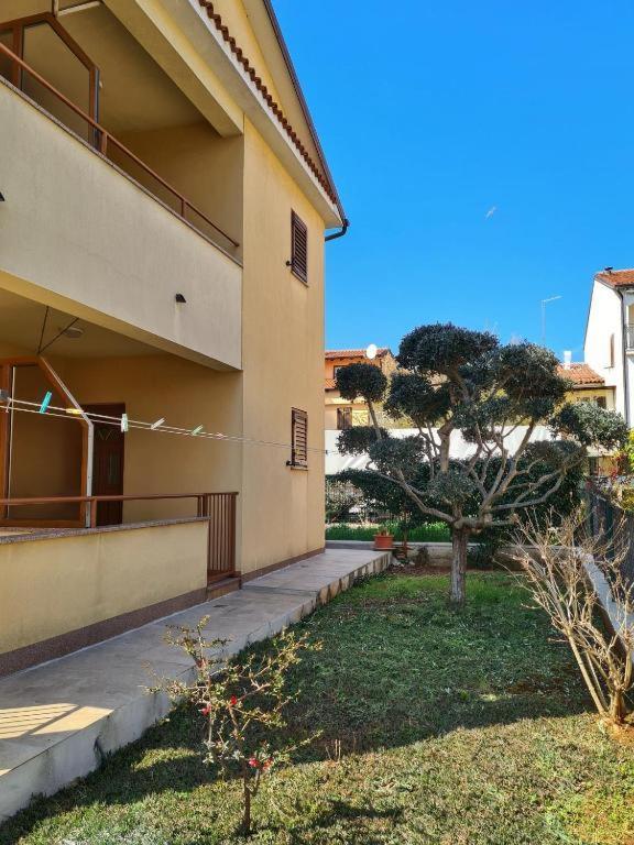 Apartment Manuel